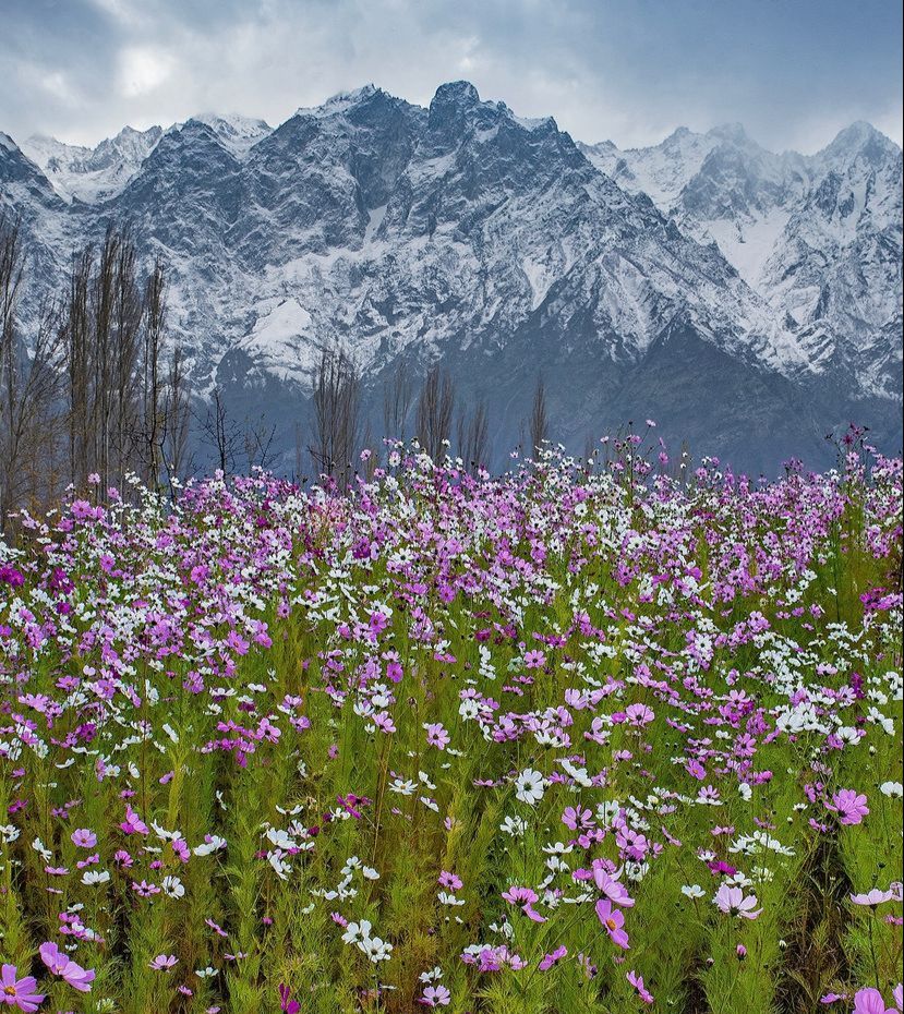 Hunza+Skardu