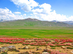 Deosai